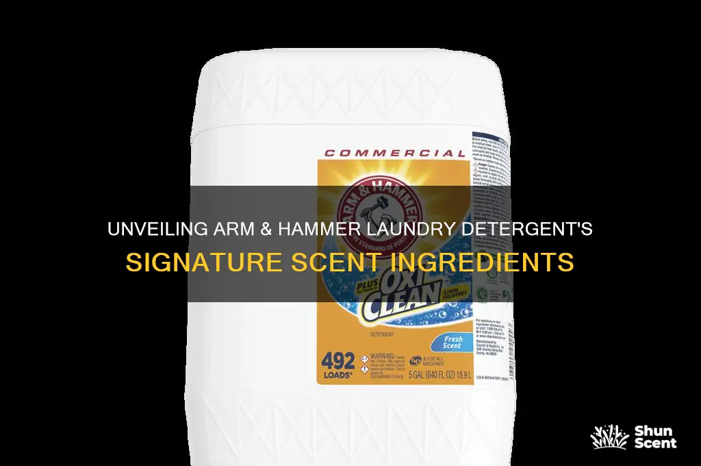 what scent ingredients are used in arm and hammor laund