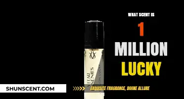Unveiling the Captivating Scent Profile of 1 Million Lucky Perfume