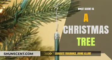 The Festive Aroma: Unveiling the Signature Scent of a Christmas Tree
