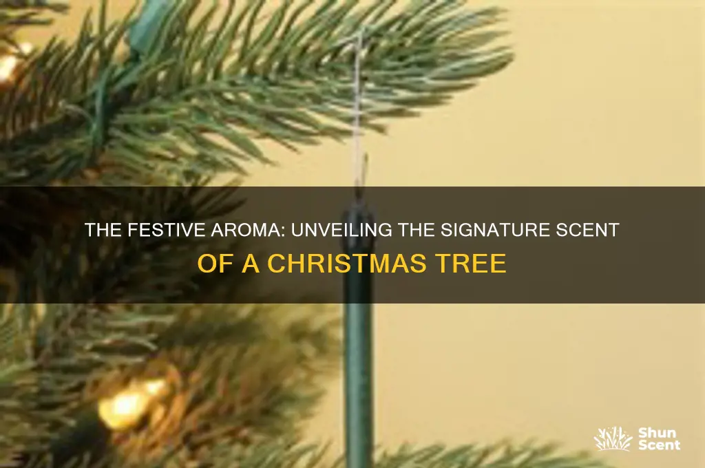 what scent is a christmas tree