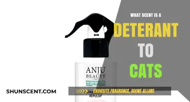 Effective Scents to Keep Cats Away: A Comprehensive Guide