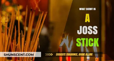 Unveiling the Aromatic Mystery: What Scent Defines a Joss Stick?
