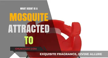 Unveiling Mosquito Magnet Scents: What Attracts These Pesky Insects?