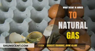 Why Natural Gas Smells Like Rotten Eggs: The Surprising Scent Additive