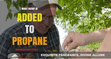 Unveiling the Odor: What Scent is Added to Propane for Safety?