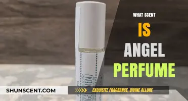 Discover the Heavenly Scent of Angel Perfume: A Fragrance Guide