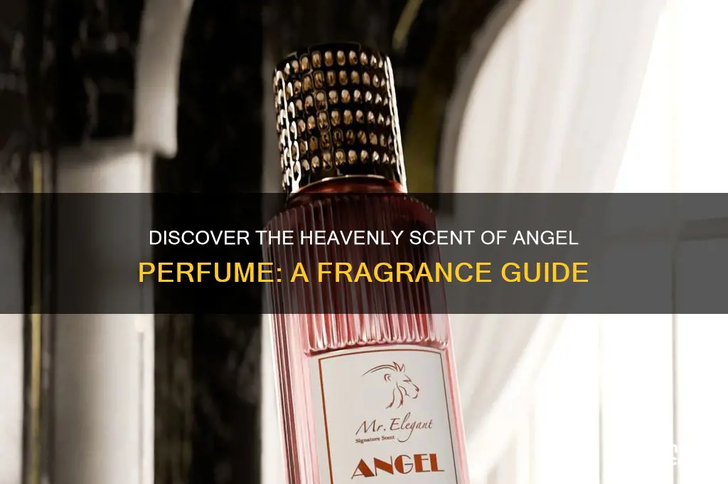 what scent is angel perfume