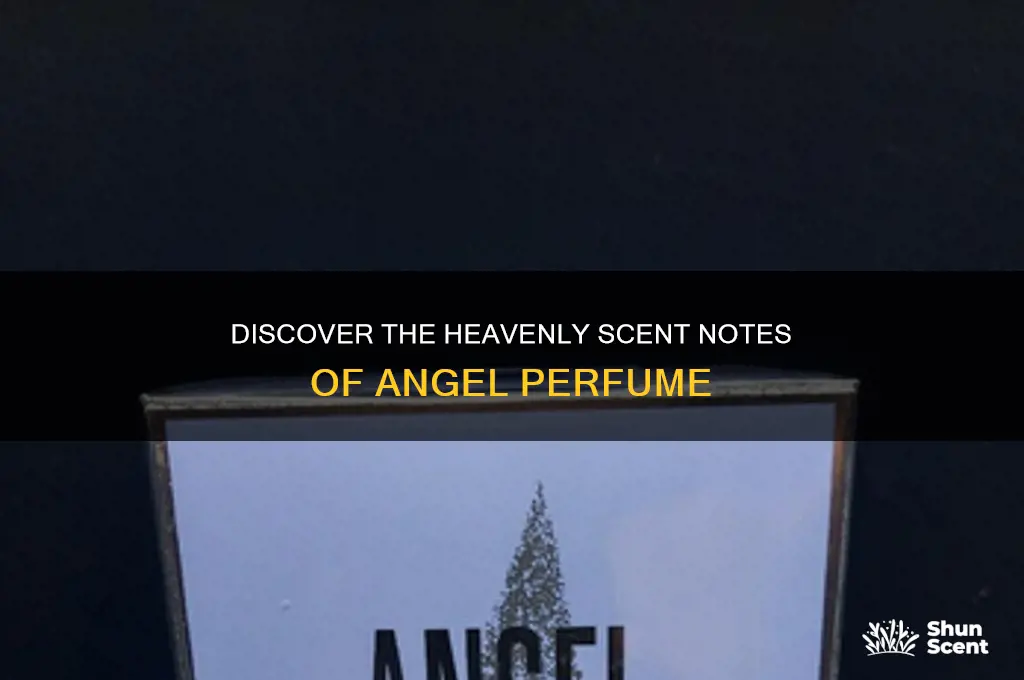 what scent is angel prfume