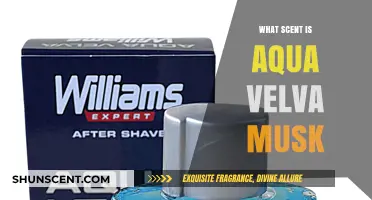 Unveiling the Classic Masculine Fragrance: What Scent is Aqua Velva Musk?