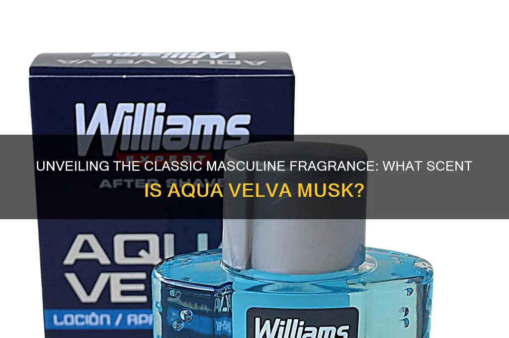 what scent is aqua velva musk