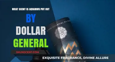 Discover Dollar General's Aquarius Scent: A Fresh, Zodiac-Inspired Aroma