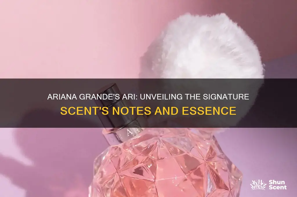 what scent is ari by ariana grande