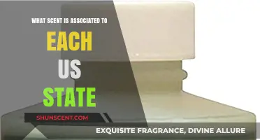 Scents of America: Unique Fragrances Defining Each U.S. State