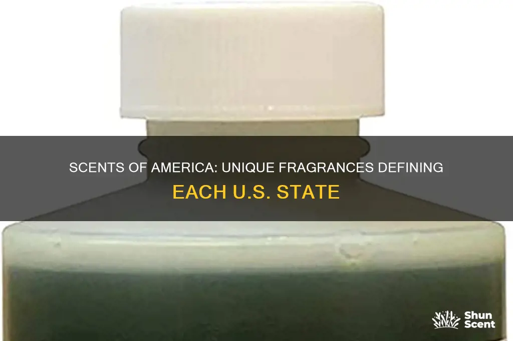 what scent is associated to each us state