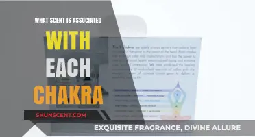 Chakra Aromas: Unlocking the Scent Associated with Each Energy Center