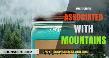 Mountain Air Magic: Unveiling the Crisp, Pine-Fresh Scents of Peaks