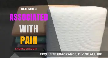 Unraveling the Mysterious Scent Connection to Pain Perception and Memory