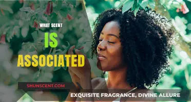 Unveiling the Scent Associations: How Smells Trigger Memories and Emotions