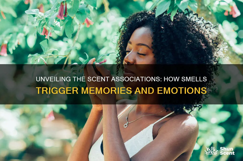 what scent is associated