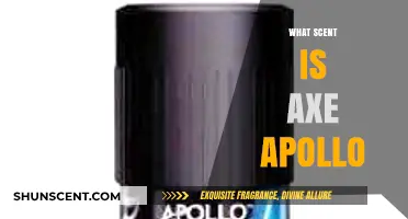 Unveiling the Irresistible Scent of Axe Apollo: A Fragrance Breakdown