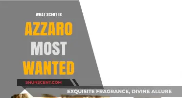 Discover the Irresistible Scent of Azzaro Most Wanted Cologne