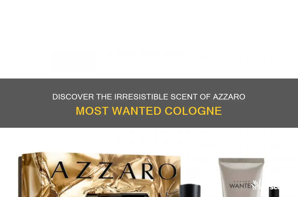 what scent is azzaro most wanted