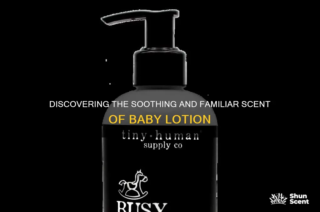 what scent is baby lotion