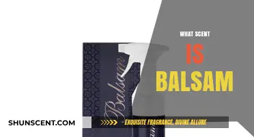 Discover the Soothing, Woody Aroma of Balsam: What Scent is Balsam?
