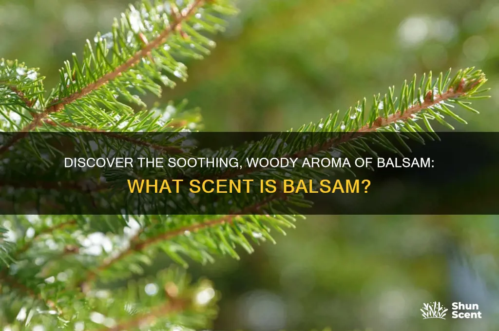 what scent is balsam