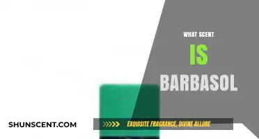 Unveiling Barbasol's Signature Scent: A Fresh, Classic Aroma Explained