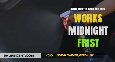 Unveiling Bath & Body Works Midnight Frost's Captivating Signature Scent