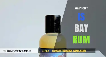 Discover the Classic Bay Rum Scent: A Timeless Aromatic Journey