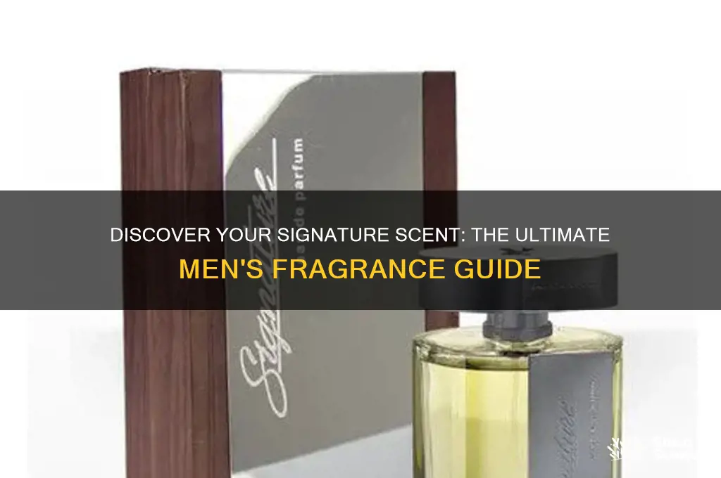 what scent is best for me men