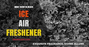 Unveiling the Mysterious Scent of Black Ice Air Freshener