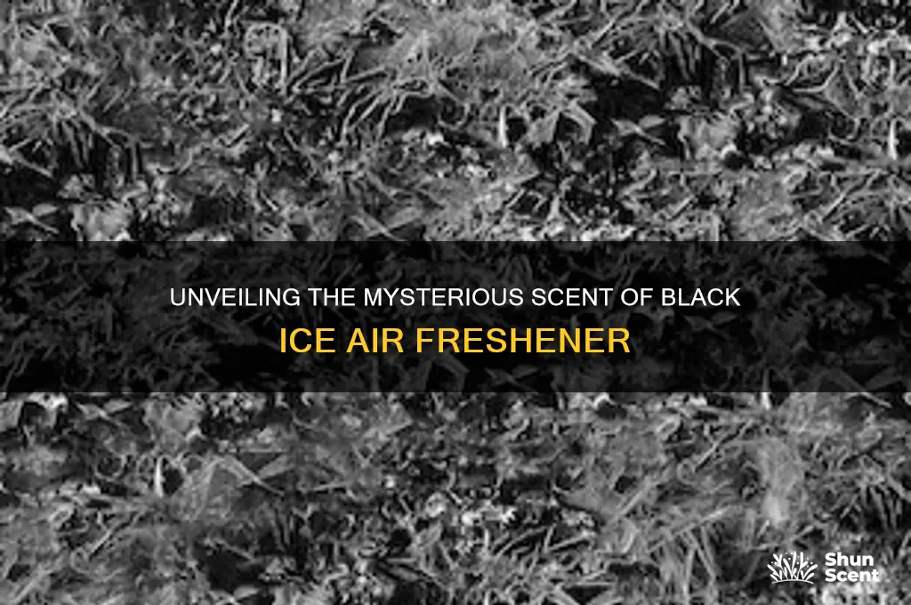 what scent is black ice air freshener
