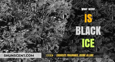 Unveiling the Mysterious and Refreshing Scent of Black Ice