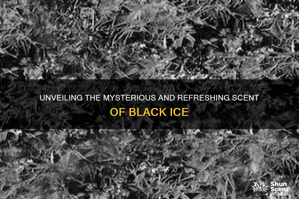 what scent is black ice