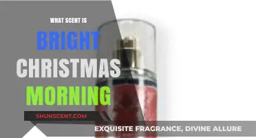 Bright Christmas Morning: Capturing the Festive Fragrance of Joy and Wonder