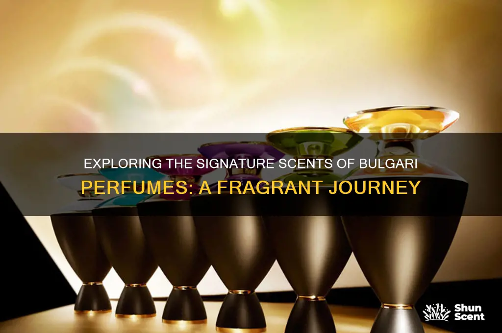 what scent is bulgari perfume