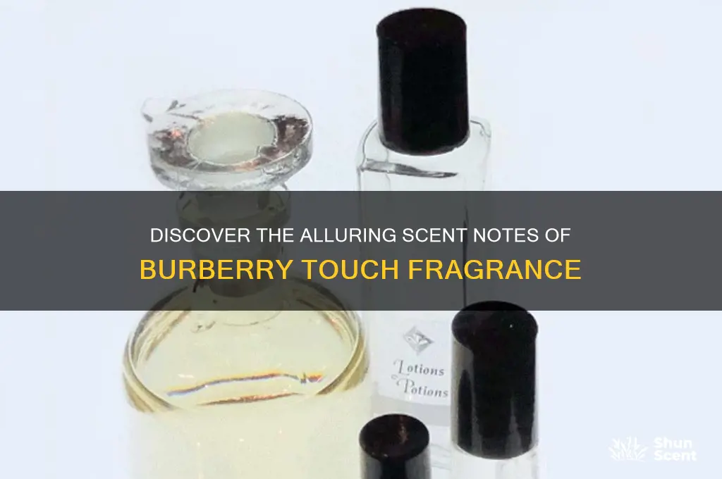 what scent is burberry touch