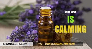 Discover the Most Soothing Scents for Instant Calm and Relaxation