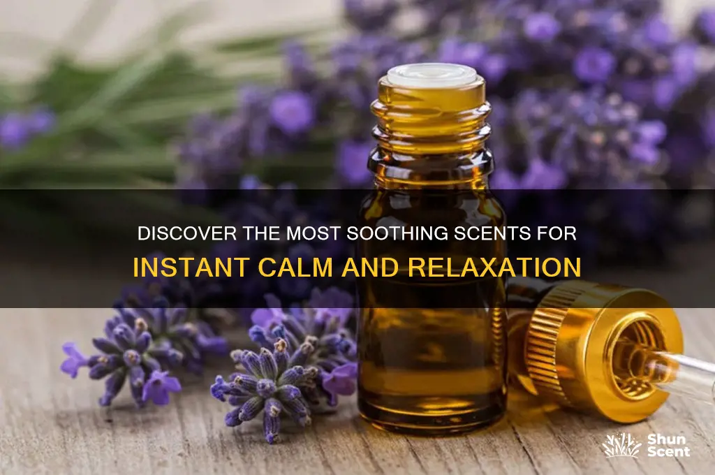 what scent is calming