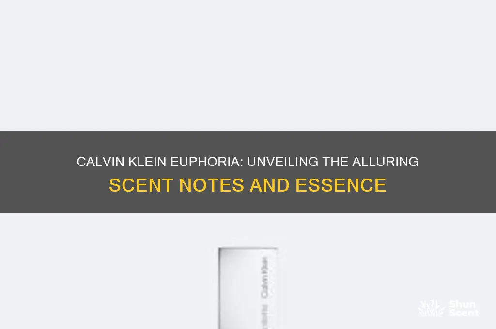 what scent is calvin klein euphoria