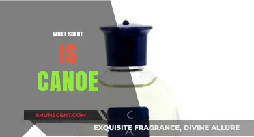 Exploring the Timeless Canoe Cologne Scent: Notes, History, and Appeal