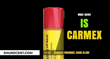Unveiling Carmex's Signature Scent: A Refreshing Camphor and Menthol Blend
