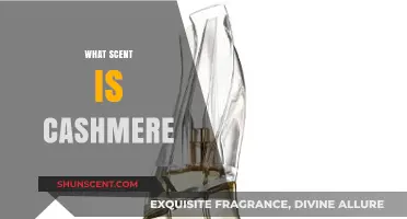Unveiling Cashmere's Signature Scent: A Sensory Journey of Luxury and Comfort