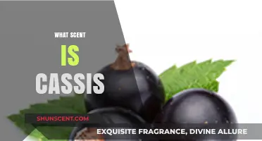 Discover the Rich, Fruity Aroma of Cassis: What Scent is It?