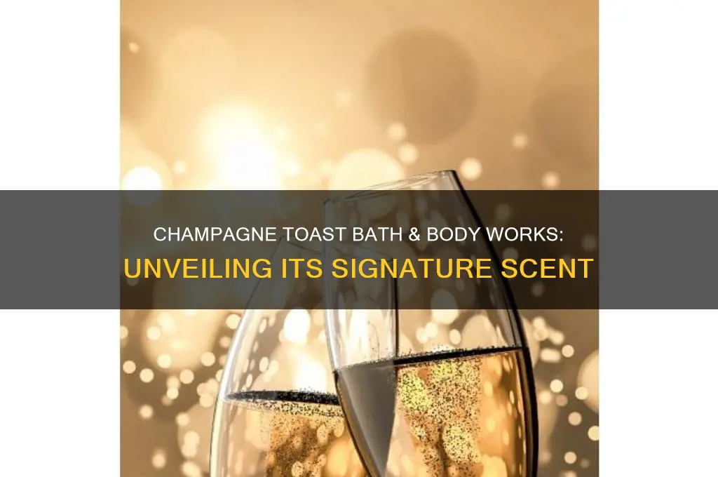 what scent is champagne toast bath and body works
