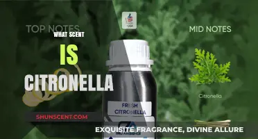 Unveiling Citronella: Exploring the Fresh, Citrusy Scent and Its Uses