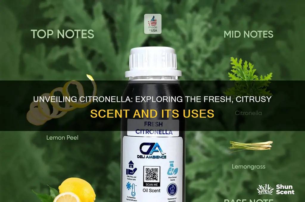 what scent is citronella